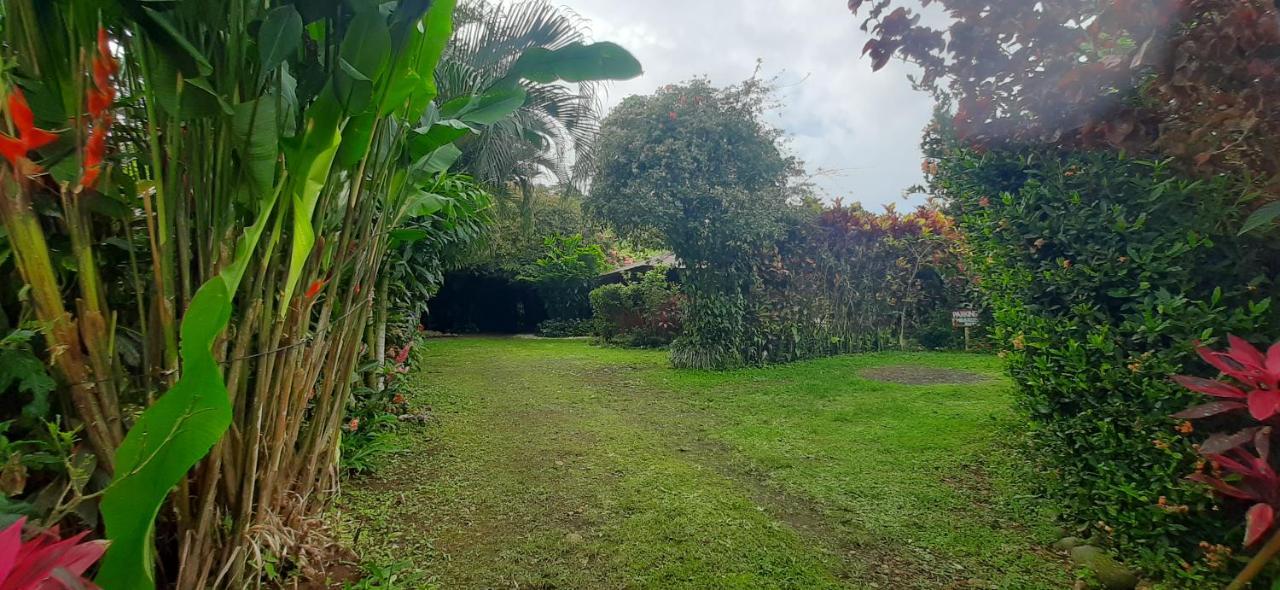 Bed and Breakfast Jardin Entre Montanas Bijagua de Upala Exterior foto